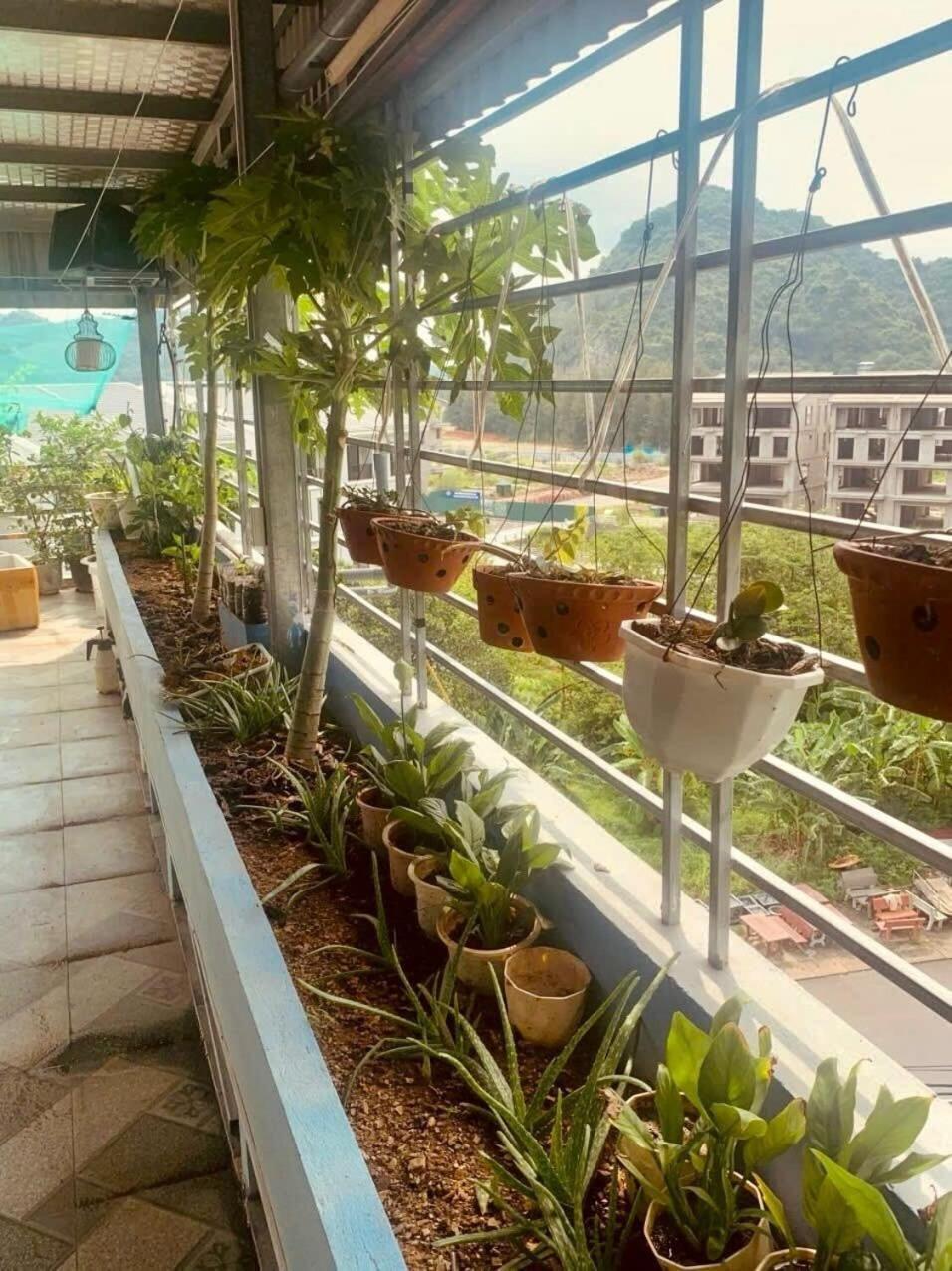 Thu Thuy Hotel Chan Chau Exterior photo